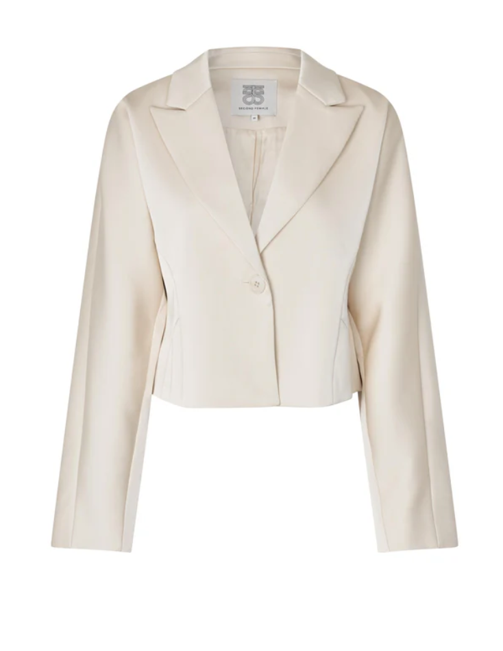 Dazzle Blazer