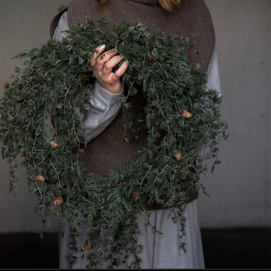 Lerk krans - Mr.Plant