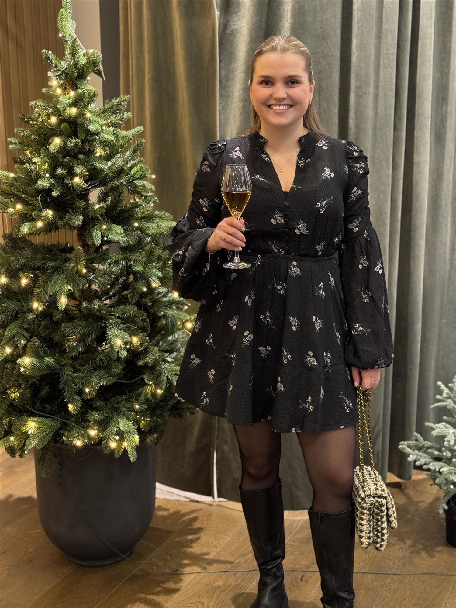 Georgette V-Neck Dress