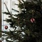 Juletrepynt, Pappmasjé (2-Pk.)