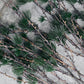 Gren, Larch, Natur
