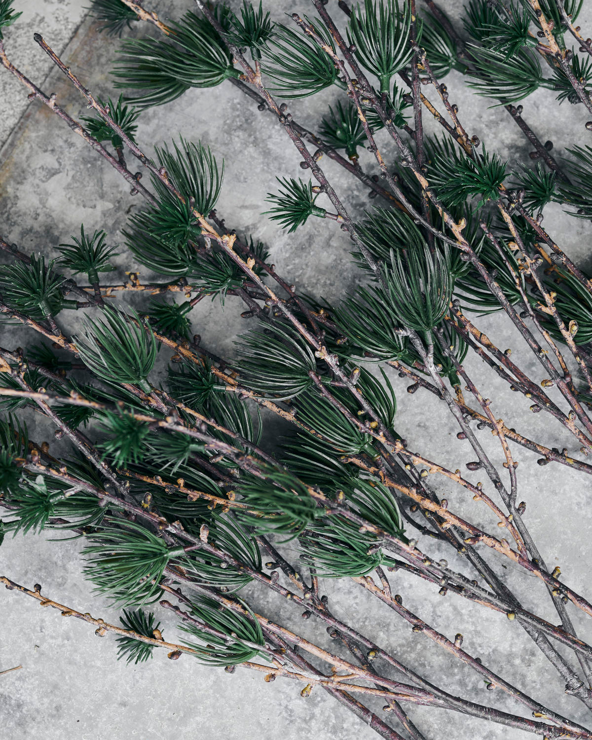 Gren, Larch, Natur