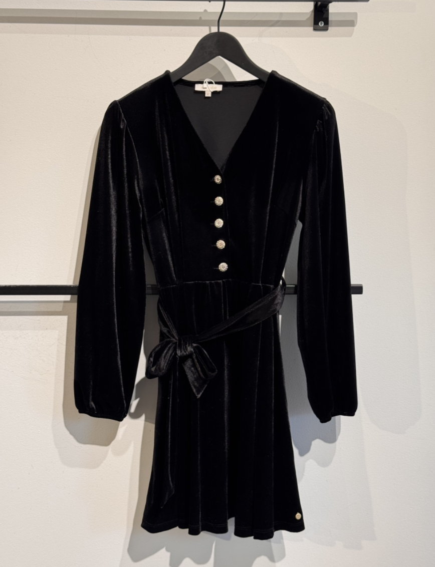 Velvet Dress short w/button
