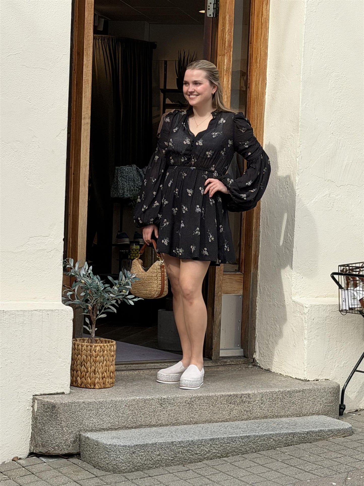 Georgette V-Neck Dress