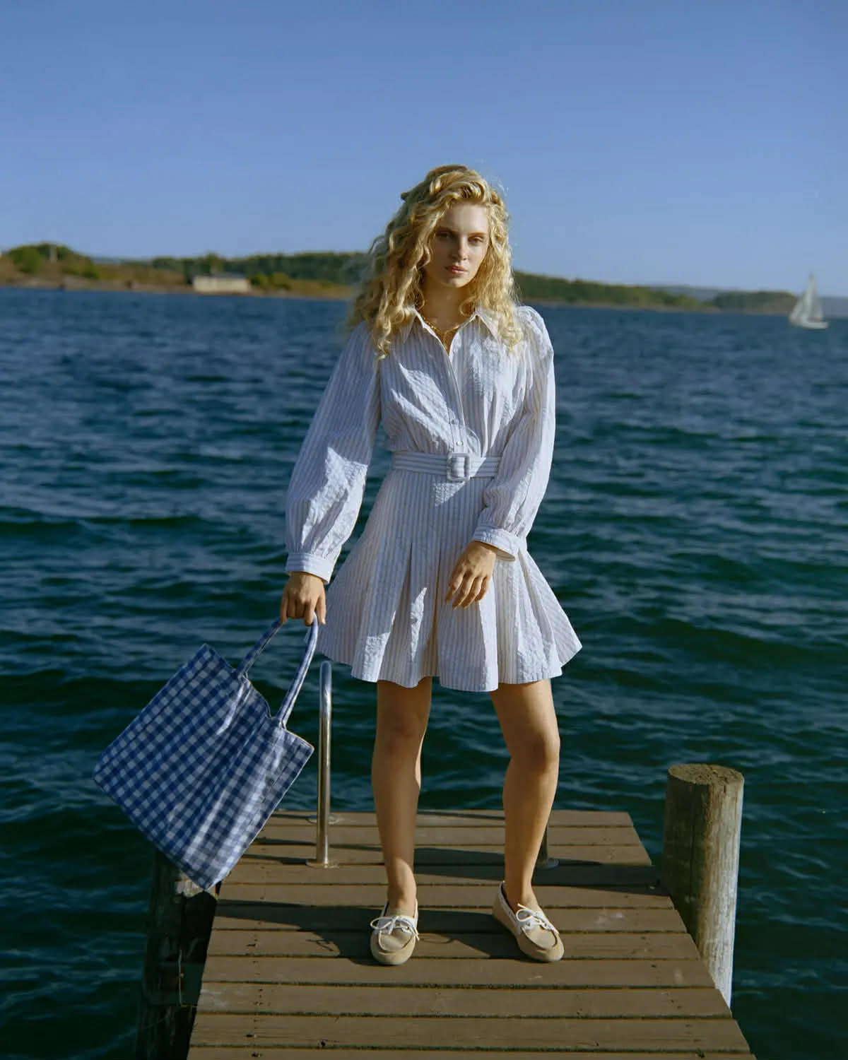 Seersucker Pleated Dress