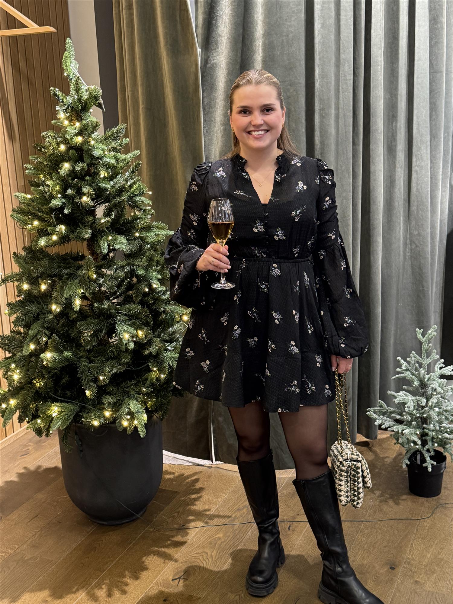 Georgette V-Neck Dress