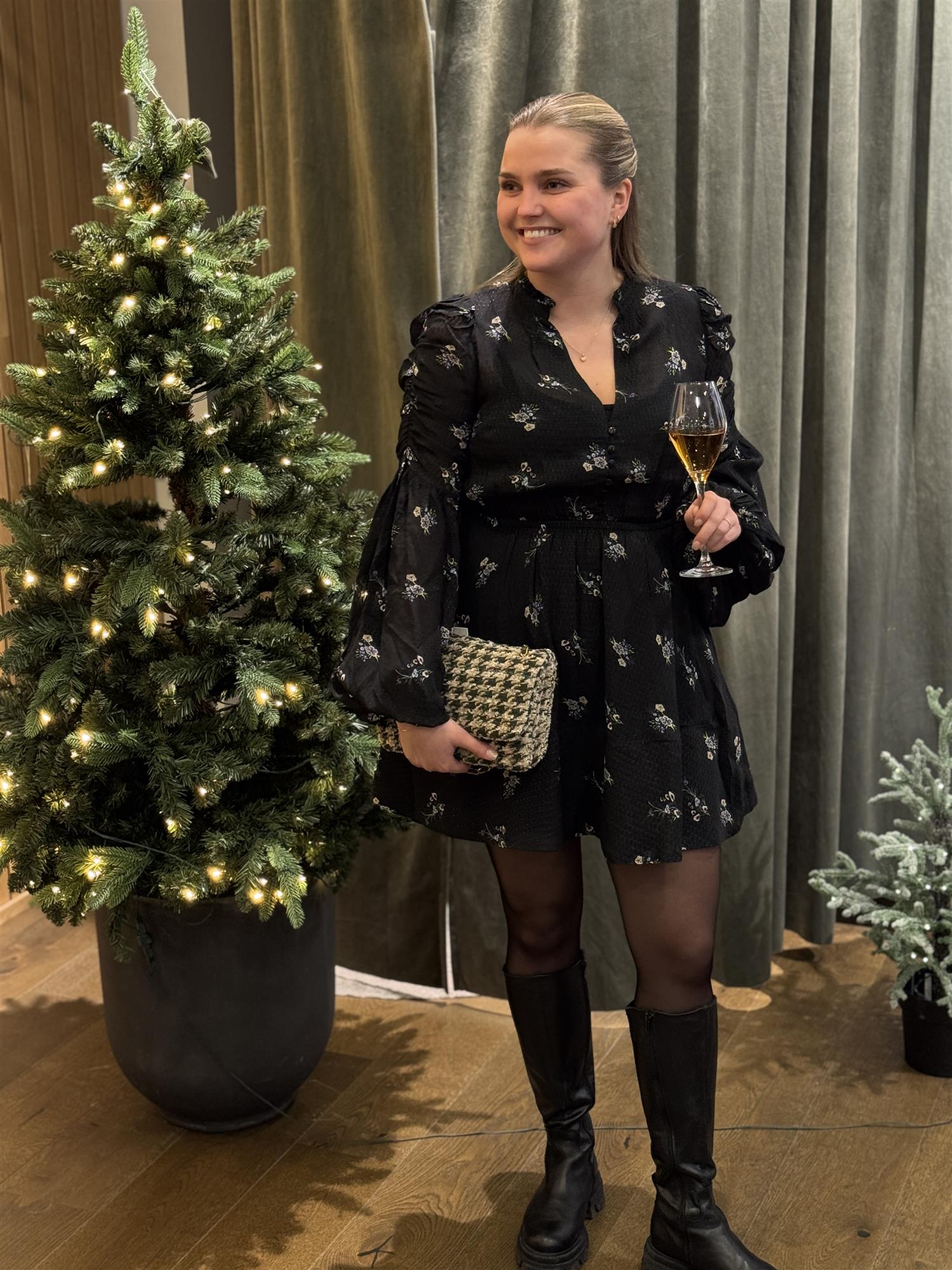 Georgette V-Neck Dress