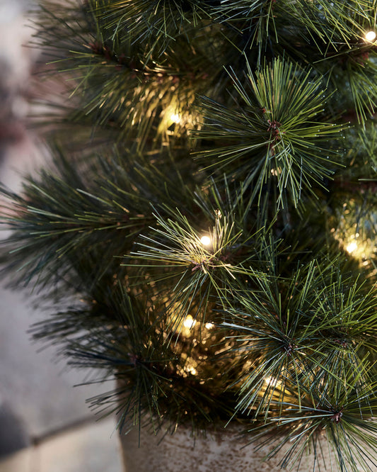 Pinus - juletre med lys