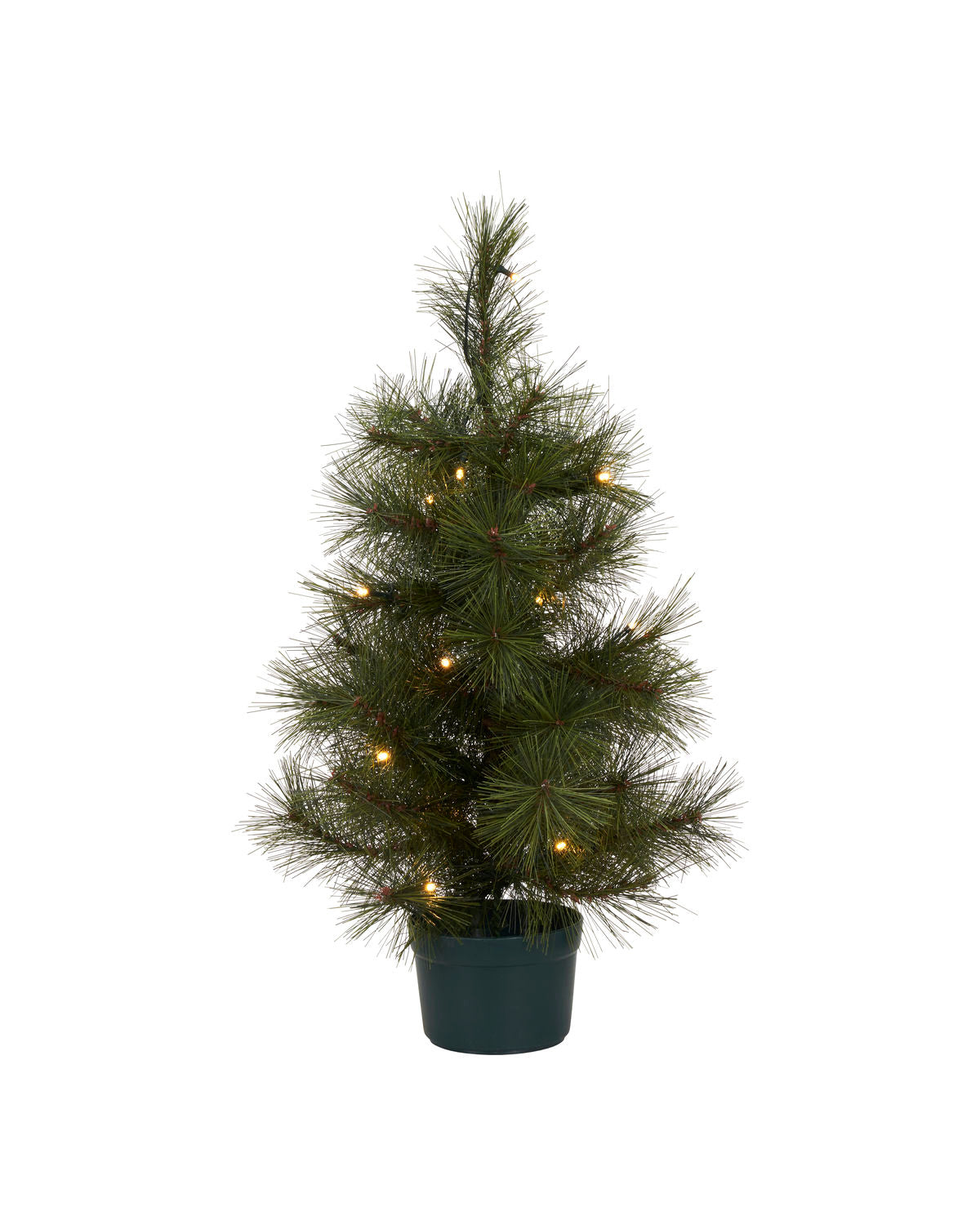 Pinus - juletre med lys